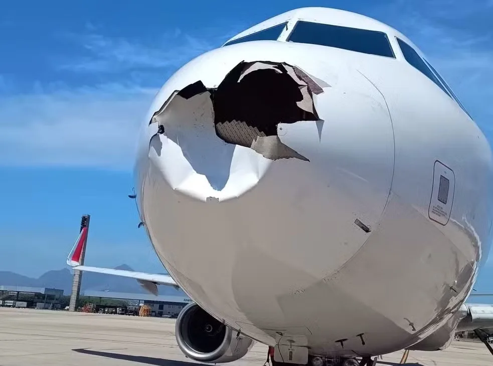 Avião da Latam retorna ao Rio de Janeiro após colidir com pássaro