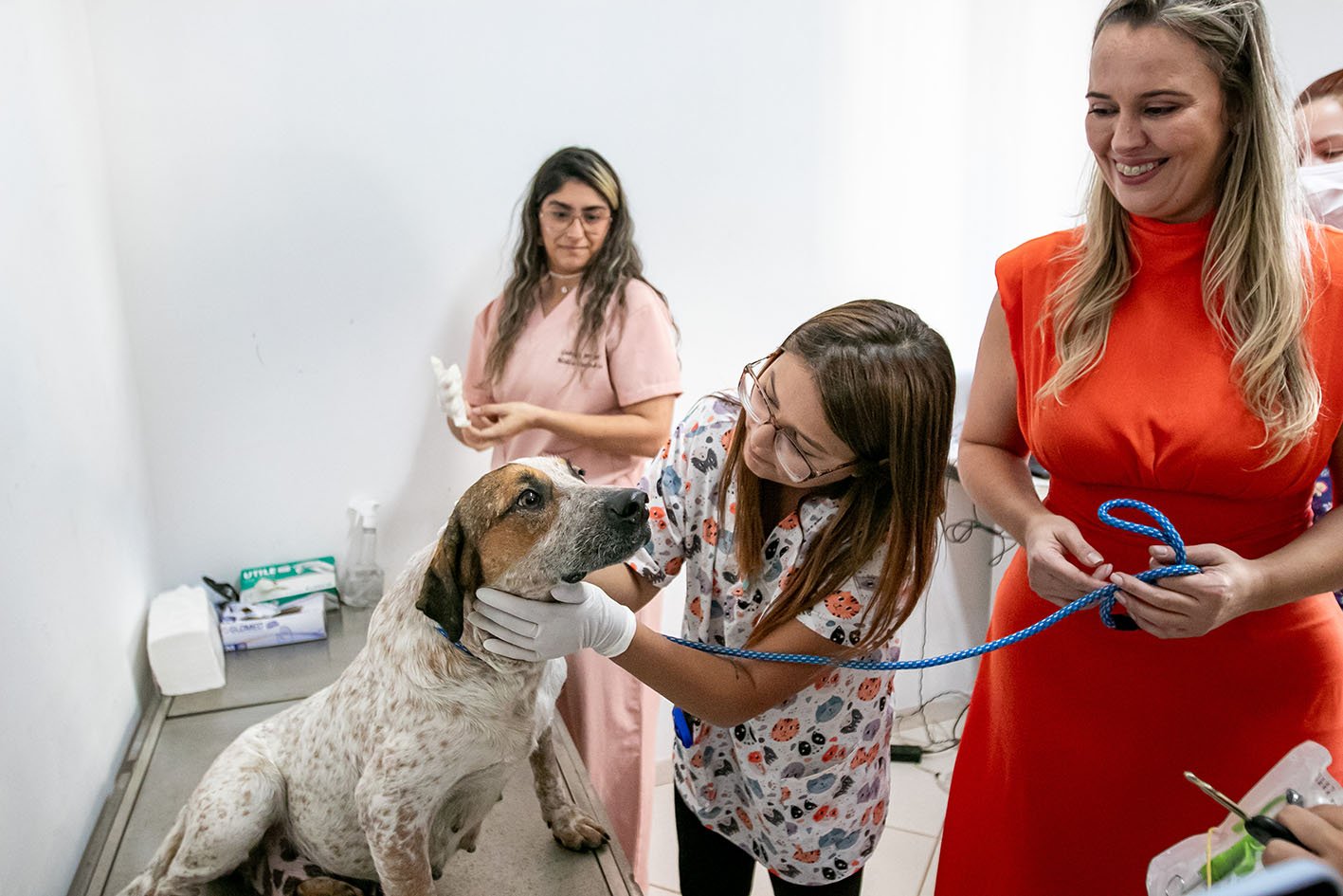 Cães e gatos agora podem ter microchip em Macaé