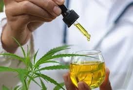 Brasil atingiu a marca de 672 mil pacientes que se tratam com cannabis